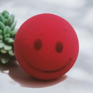 Sesli Gülenyüz Oyuncak