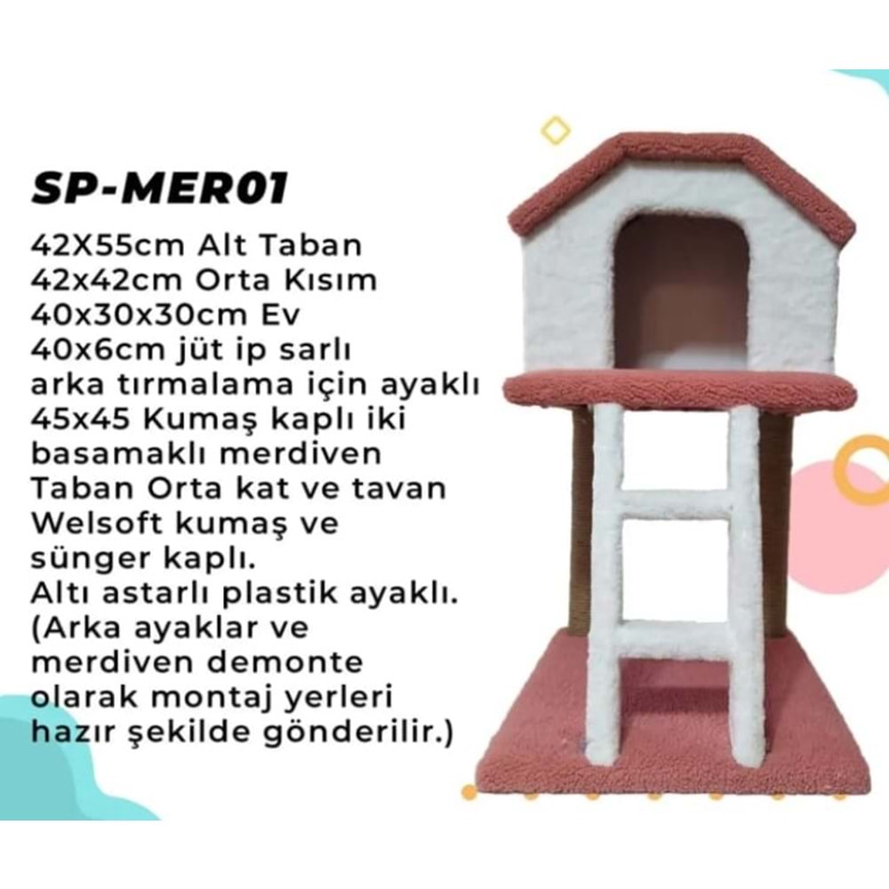 Merdivenli Kedi Evi